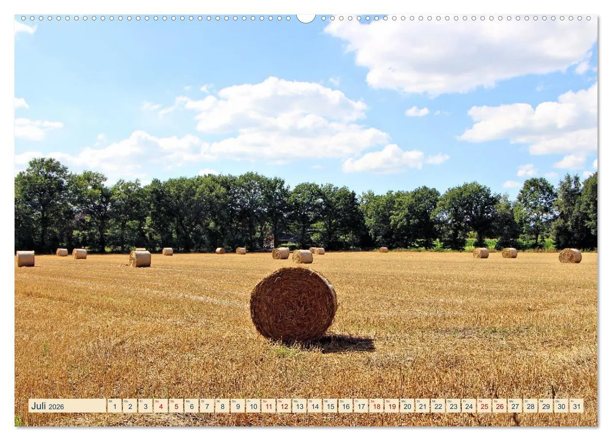 Bild: 9783457568262 | In Apen und umzu (Wandkalender 2026 DIN A2 quer), CALVENDO...