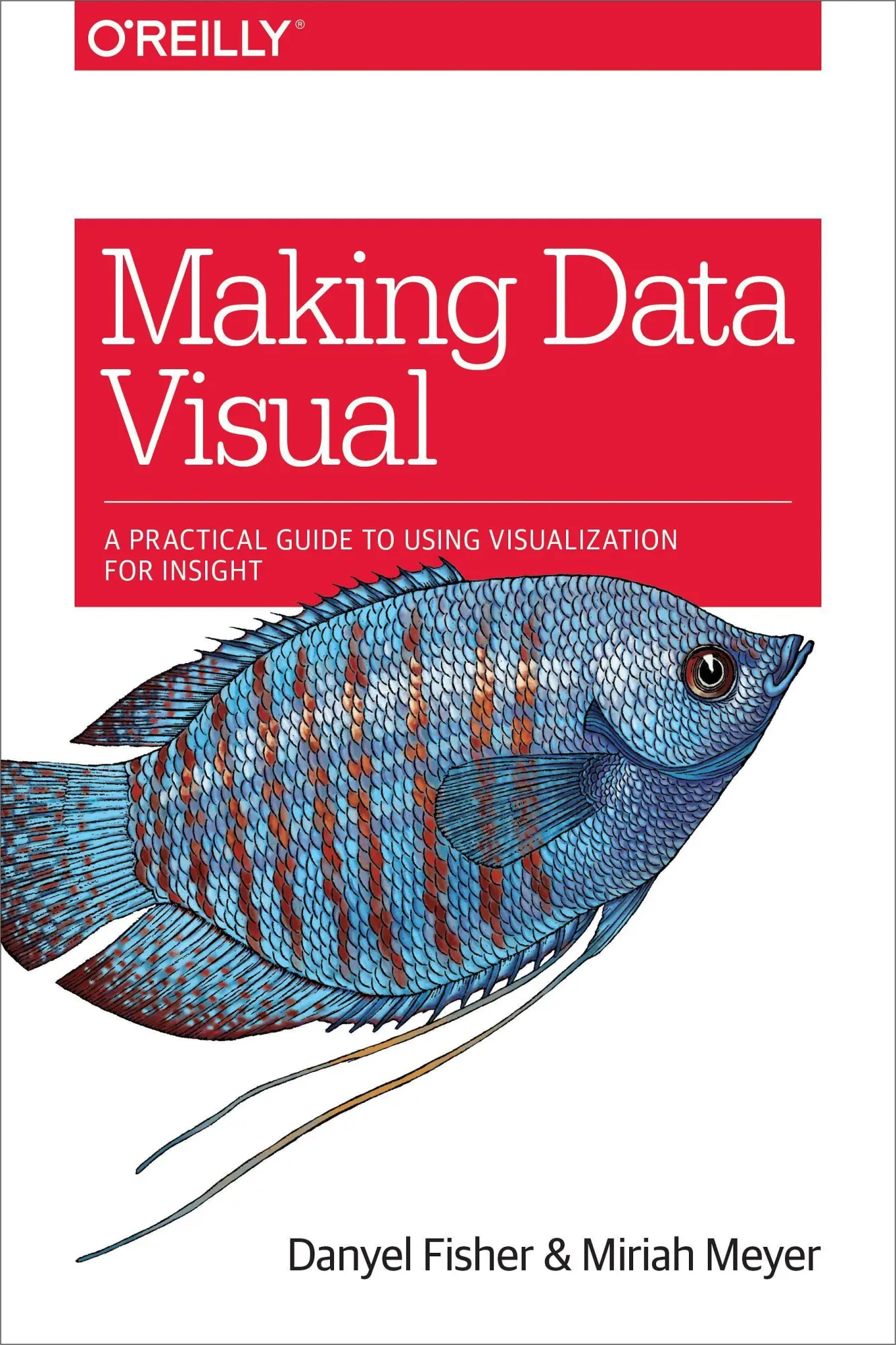 Cover: 9781491928462 | Making Data Visual | Danyel Fisher (u. a.) | Taschenbuch | Englisch