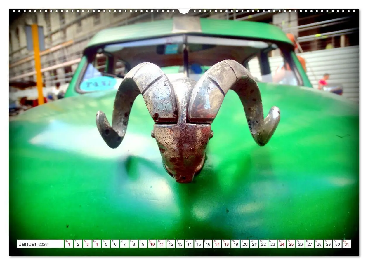 Bild: 9783457548462 | Tierische Oldtimer - Markante Kühlerfiguren (Wandkalender 2026 DIN...