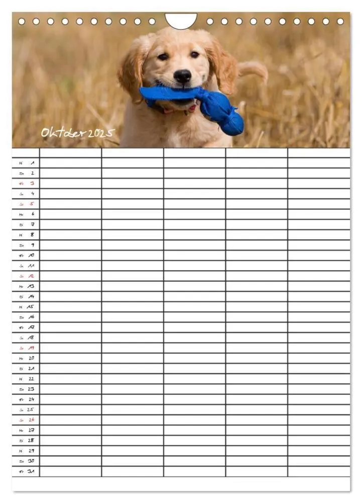 Bild: 9783457088562 | Familienplaner: Golden Retriever Welpen (Wandkalender 2025 DIN A4...