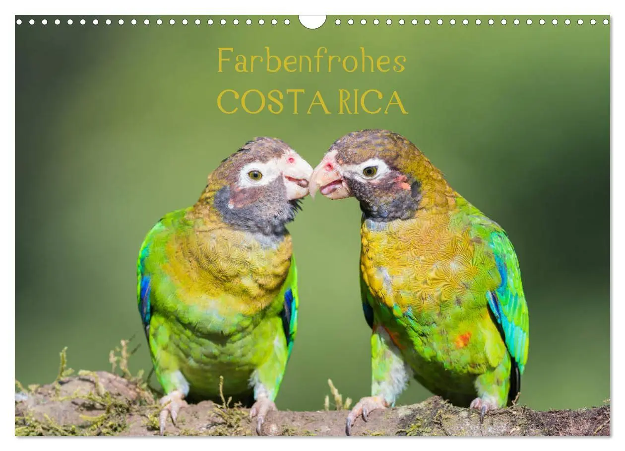 Cover: 9783457848562 | Farbenfrohes Costa Rica (Wandkalender 2026 DIN A3 quer), CALVENDO...