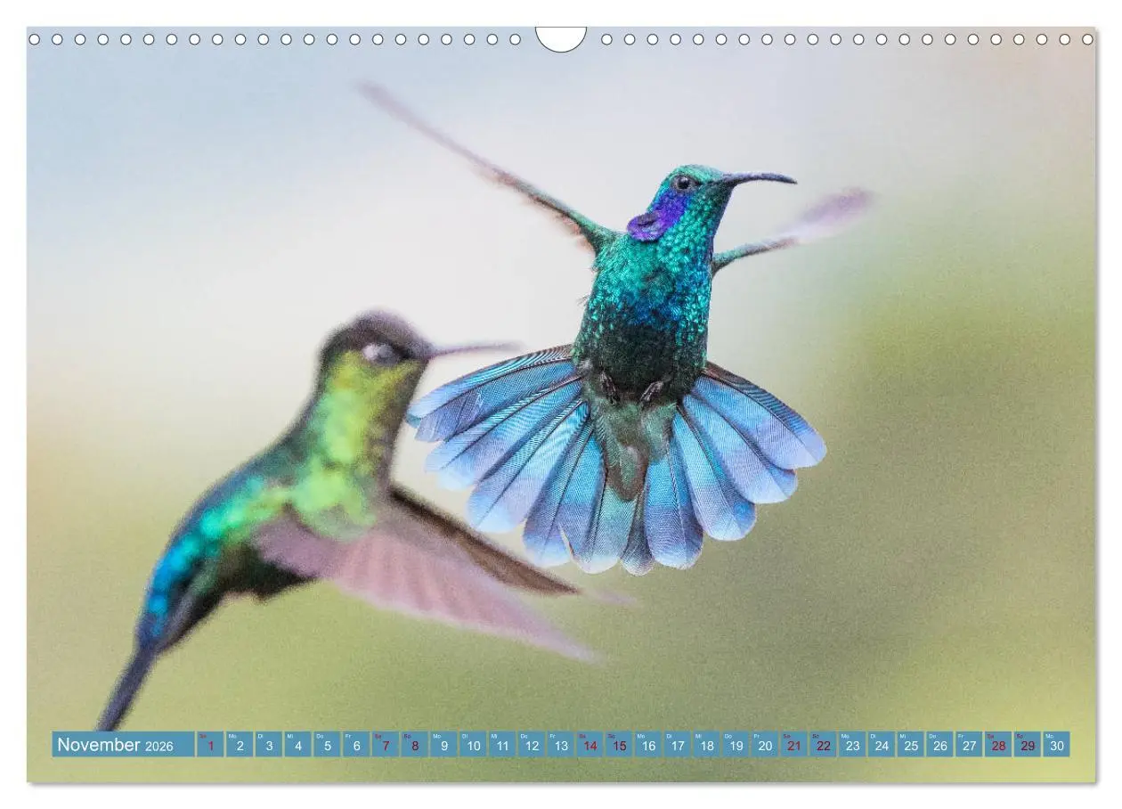 Bild: 9783457848562 | Farbenfrohes Costa Rica (Wandkalender 2026 DIN A3 quer), CALVENDO...