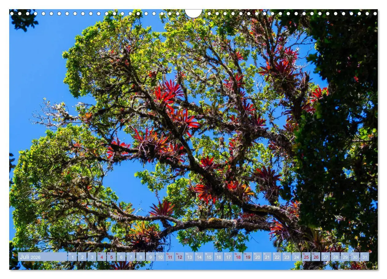 Bild: 9783457848562 | Farbenfrohes Costa Rica (Wandkalender 2026 DIN A3 quer), CALVENDO...