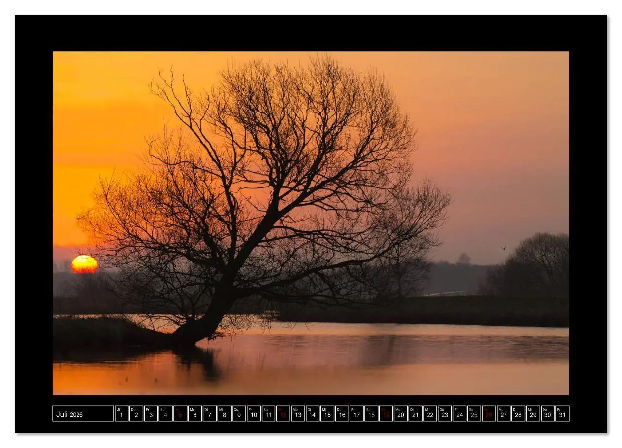 Bild: 9783457768662 | Lichtlandschaft Worpswede (hochwertiger Premium Wandkalender 2026...