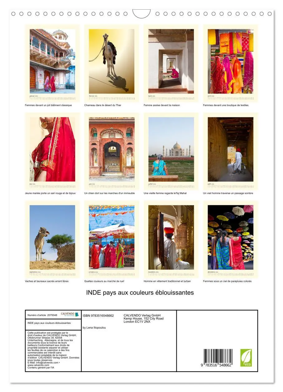 Bild: 9783516548662 | INDE pays aux couleurs éblouissantes (Calendrier mural 2026 DIN A3...