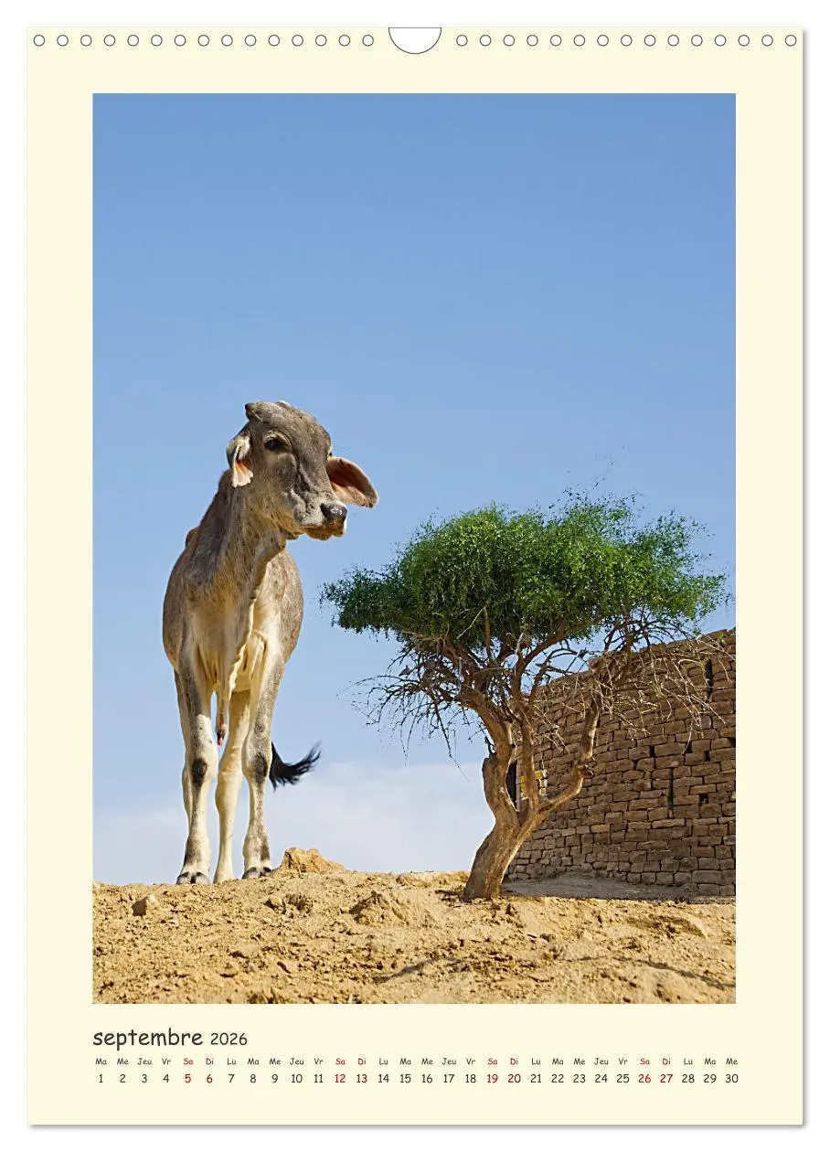 Bild: 9783516548662 | INDE pays aux couleurs éblouissantes (Calendrier mural 2026 DIN A3...