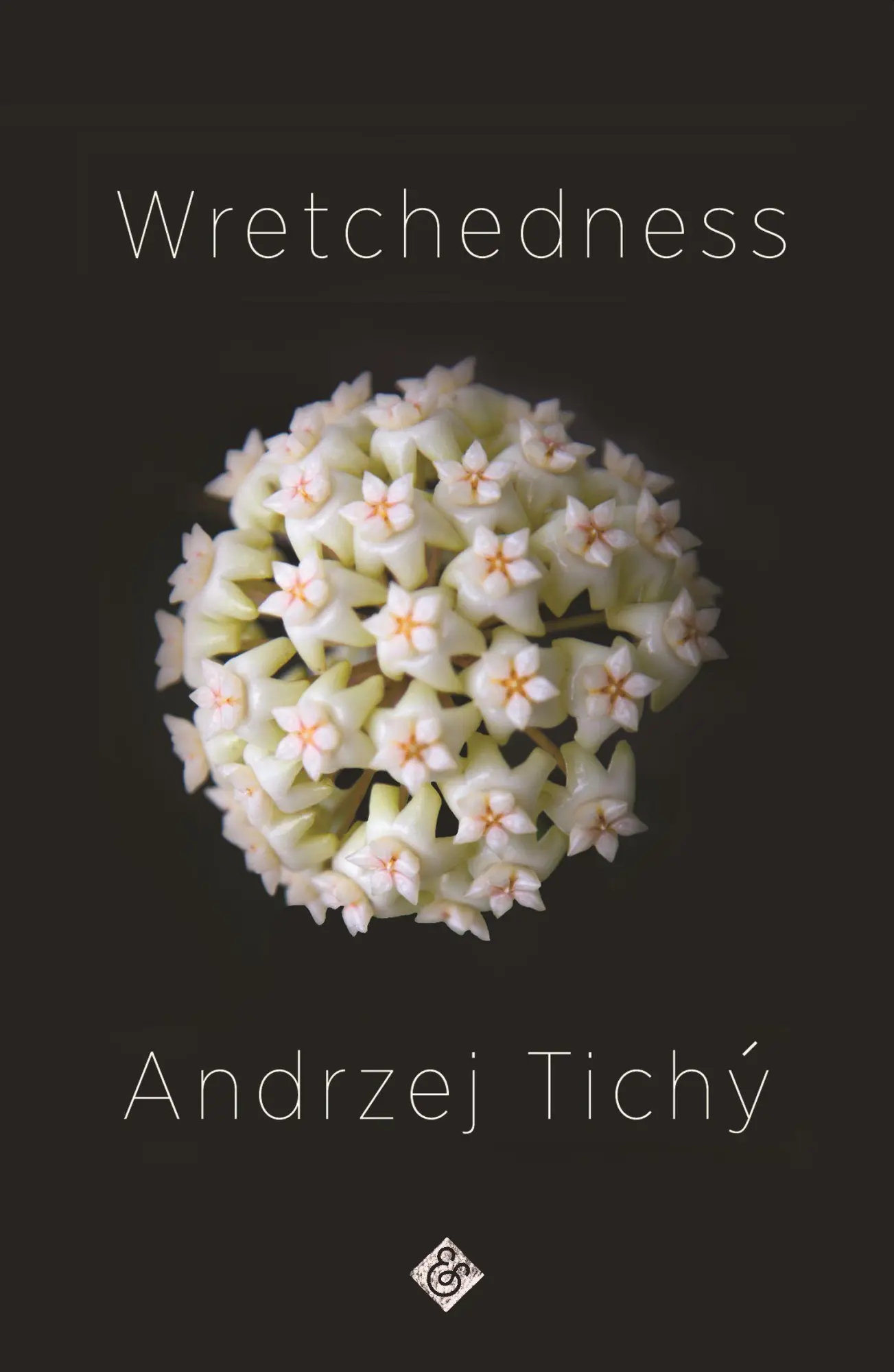 Cover: 9781911508762 | Wretchedness | Andrzej Tichý | Taschenbuch | 176 S. | Englisch | 2020