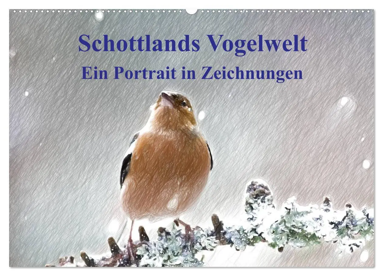 Cover: 9783457998762 | Schottlands Vogelwelt - Ein Porträt in Zeichnungen (Wandkalender...