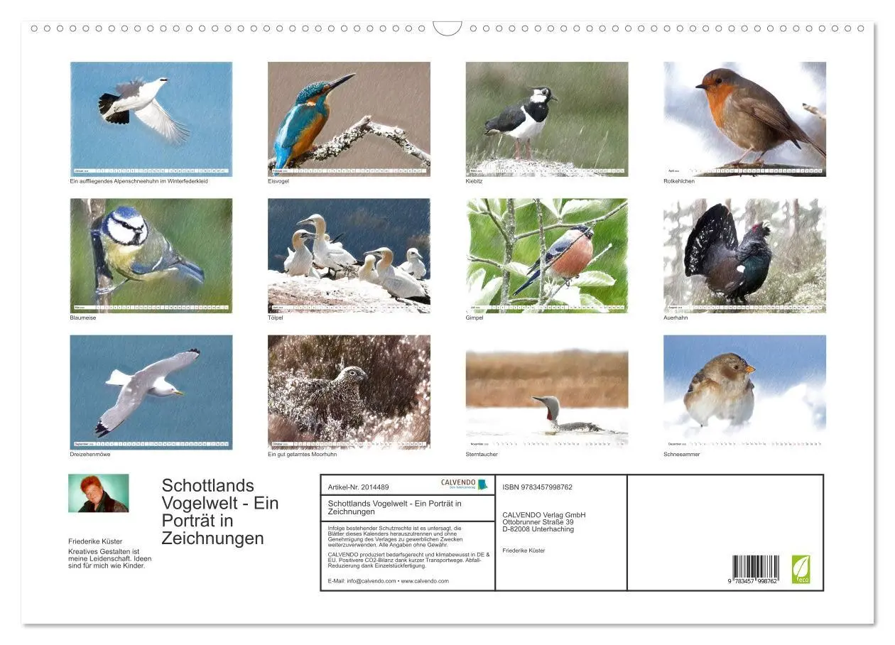Bild: 9783457998762 | Schottlands Vogelwelt - Ein Porträt in Zeichnungen (Wandkalender...