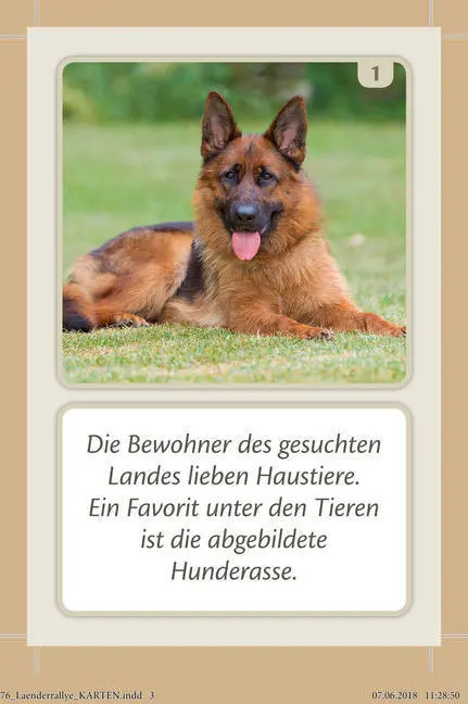 Bild: 9783834638762 | Länderrallye (Spiel) | Beate Bussenius (u. a.) | Spiel | Deutsch