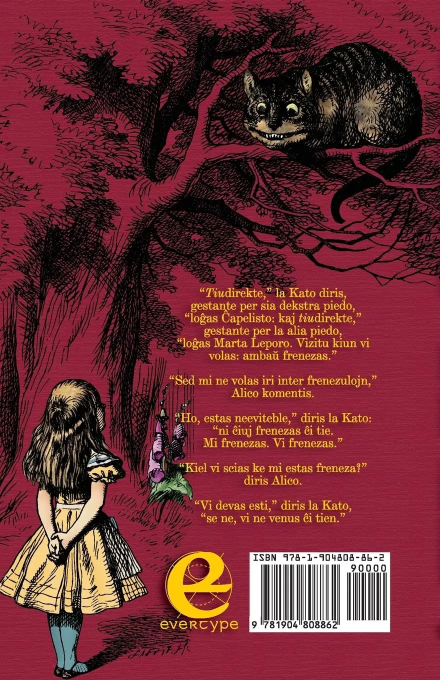Rückseite: 9781904808862 | La Aventuroj de Alico en Mirlando | Lewis Carroll | Taschenbuch | 2012