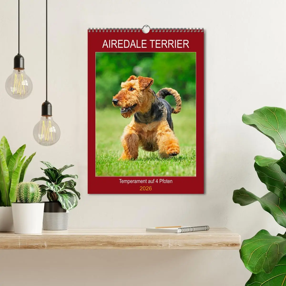 Bild: 9783516388862 | Airedale Terrier - Temperament auf 4 Pfoten (Wandkalender 2026 DIN...