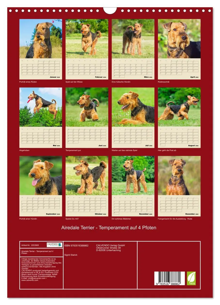 Bild: 9783516388862 | Airedale Terrier - Temperament auf 4 Pfoten (Wandkalender 2026 DIN...