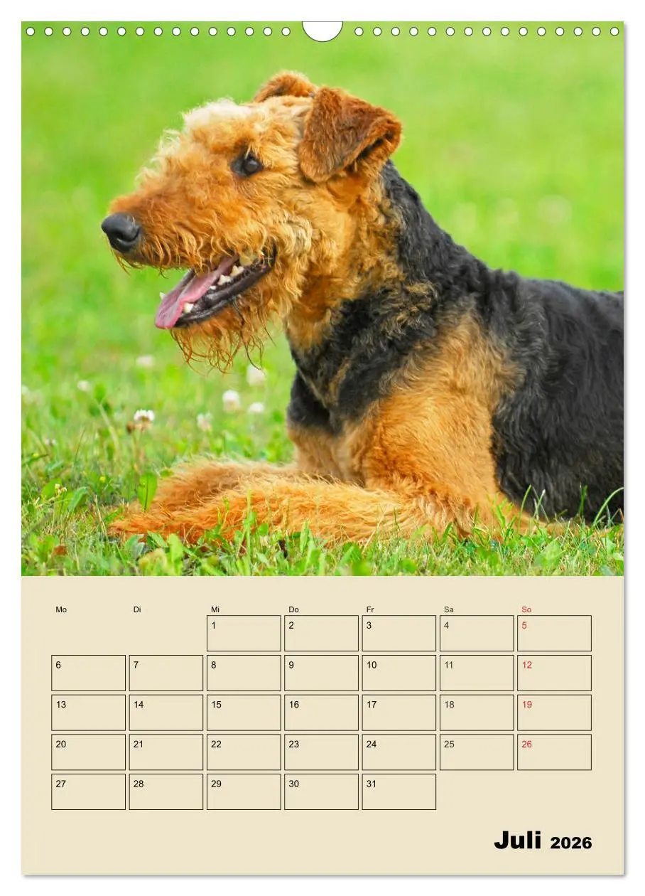 Bild: 9783516388862 | Airedale Terrier - Temperament auf 4 Pfoten (Wandkalender 2026 DIN...