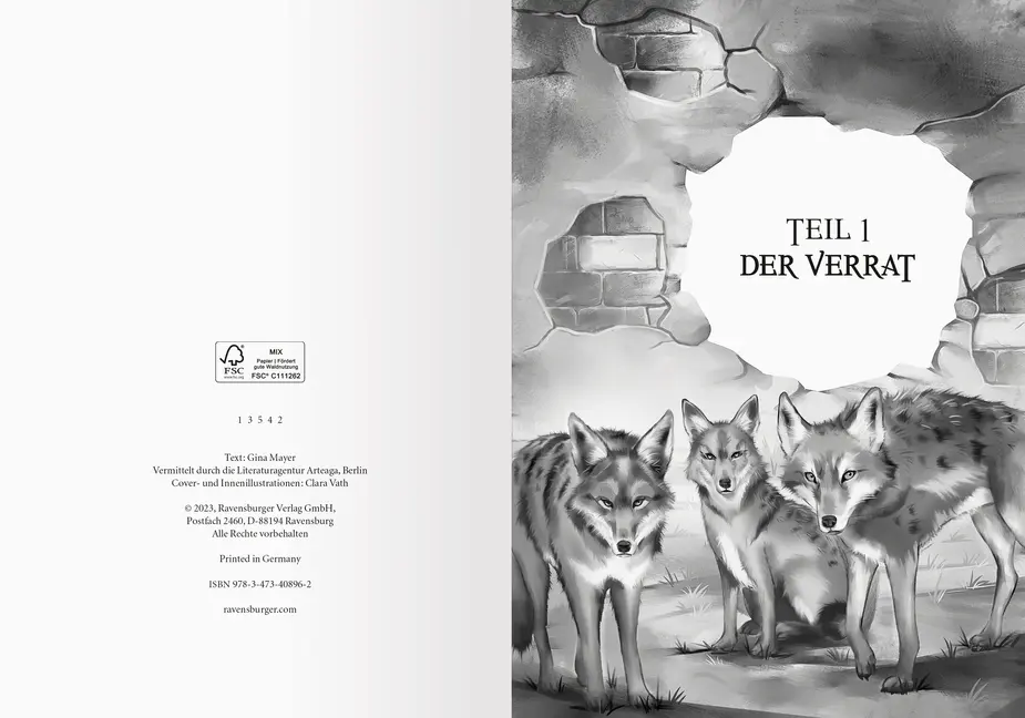 Bild: 9783473408962 | Stadt der bösen Tiere, Band 1 - Die Burg | Gina Mayer | Buch | 288 S.