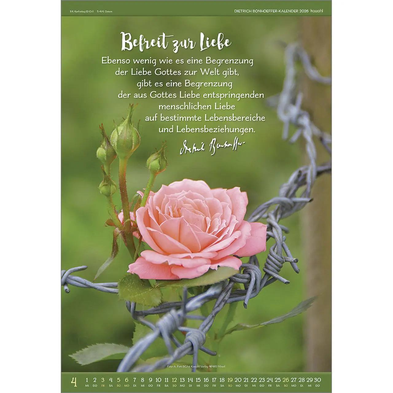 Bild: 9783754808962 | Gott ist für uns 2026 | Dietrich Bonhoeffer-Kalender | Bonhoeffer