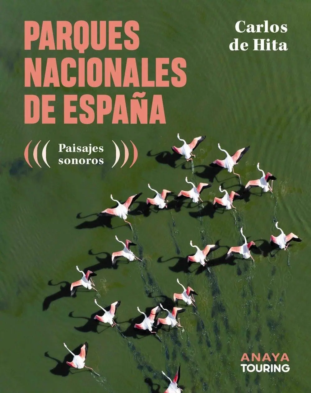 Bild: 9788491588962 | Parques Nacionales de España | Taschenbuch | Spanisch | Anaya Touring