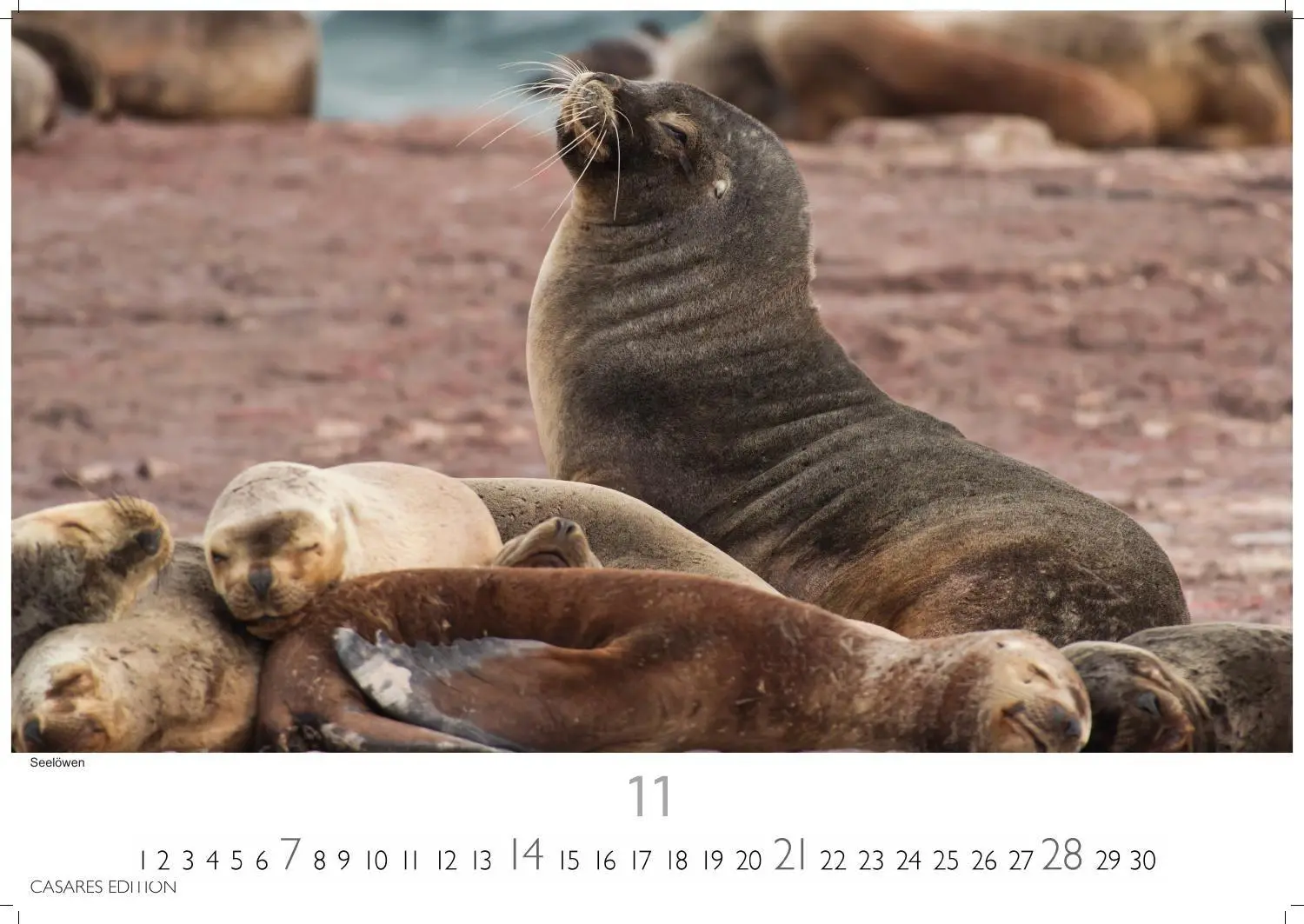 Bild: 9781835249062 | Patagonien Kalender 2027 - Wandkalender Fotokalender Südamerika...