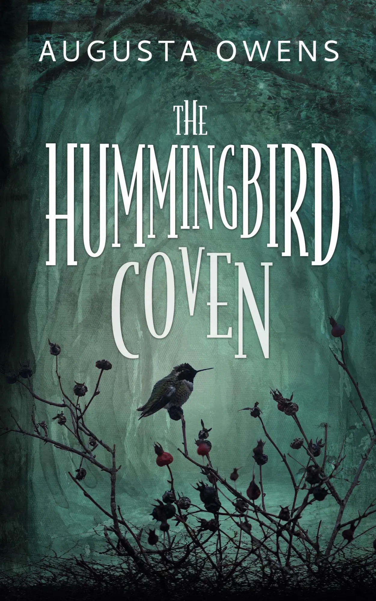Cover: 9781958559062 | The Hummingbird Coven | Augusta Owens | Taschenbuch | Englisch | 2022