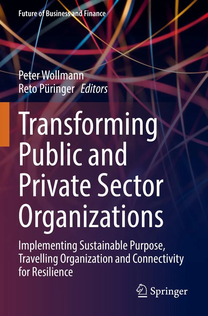 Cover: 9783031069062 | Transforming Public and Private Sector Organizations | Taschenbuch