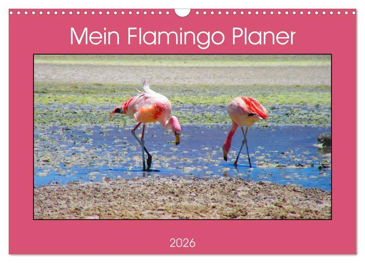 Cover: 9783457629062 | Mein Flamingo Planer (Wandkalender 2026 DIN A3 quer), CALVENDO...