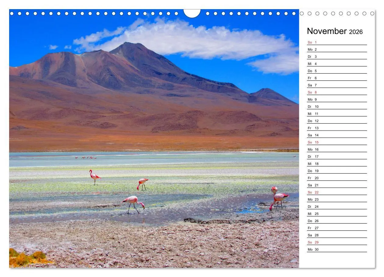 Bild: 9783457629062 | Mein Flamingo Planer (Wandkalender 2026 DIN A3 quer), CALVENDO...
