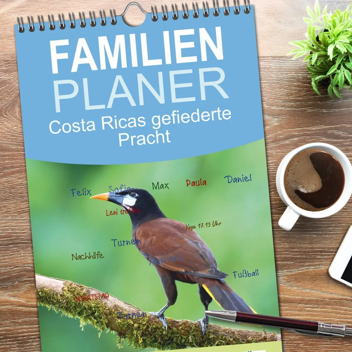 Bild: 9783516649062 | Familienplaner 2026 - Costa Ricas gefiederte Pracht mit 5 Spalten...