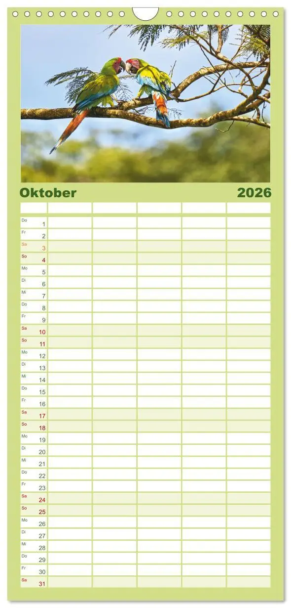 Bild: 9783516649062 | Familienplaner 2026 - Costa Ricas gefiederte Pracht mit 5 Spalten...