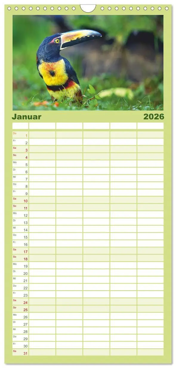 Bild: 9783516649062 | Familienplaner 2026 - Costa Ricas gefiederte Pracht mit 5 Spalten...