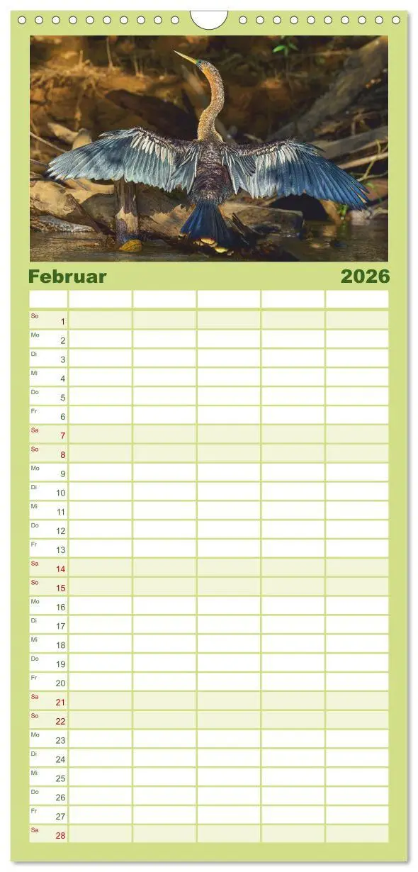 Bild: 9783516649062 | Familienplaner 2026 - Costa Ricas gefiederte Pracht mit 5 Spalten...