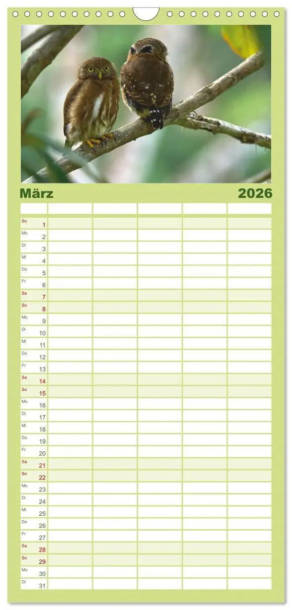 Bild: 9783516649062 | Familienplaner 2026 - Costa Ricas gefiederte Pracht mit 5 Spalten...