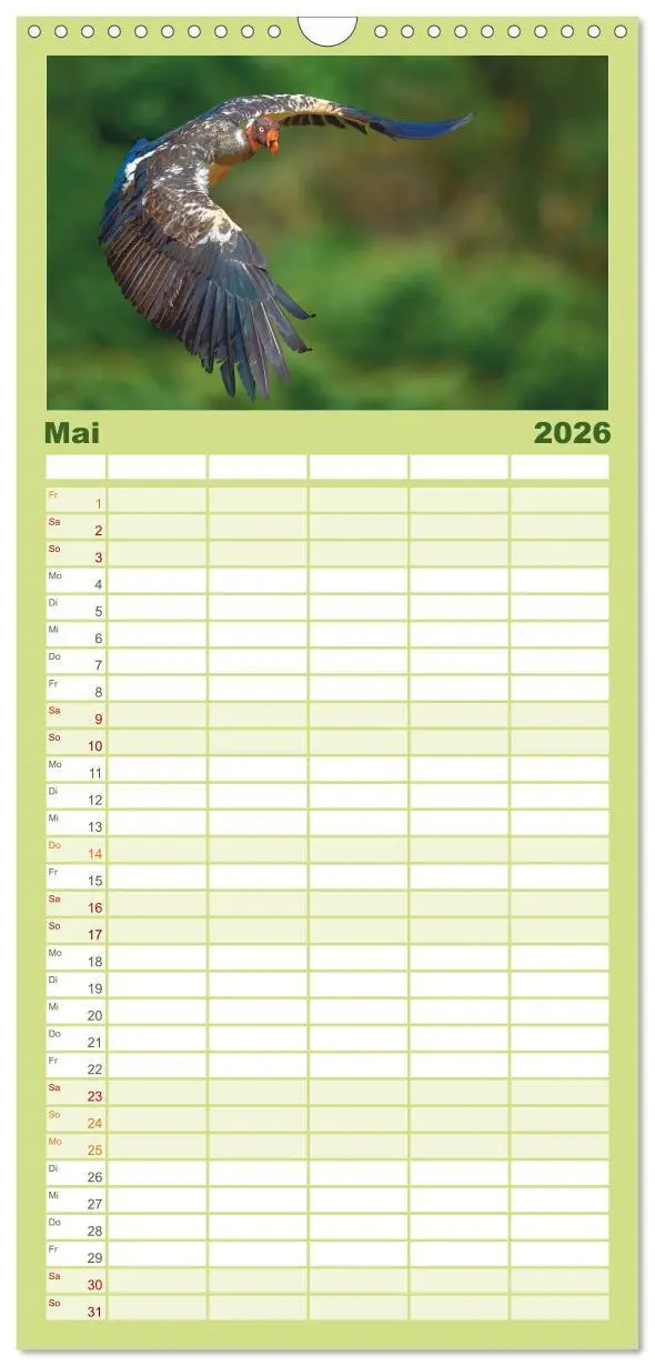 Bild: 9783516649062 | Familienplaner 2026 - Costa Ricas gefiederte Pracht mit 5 Spalten...