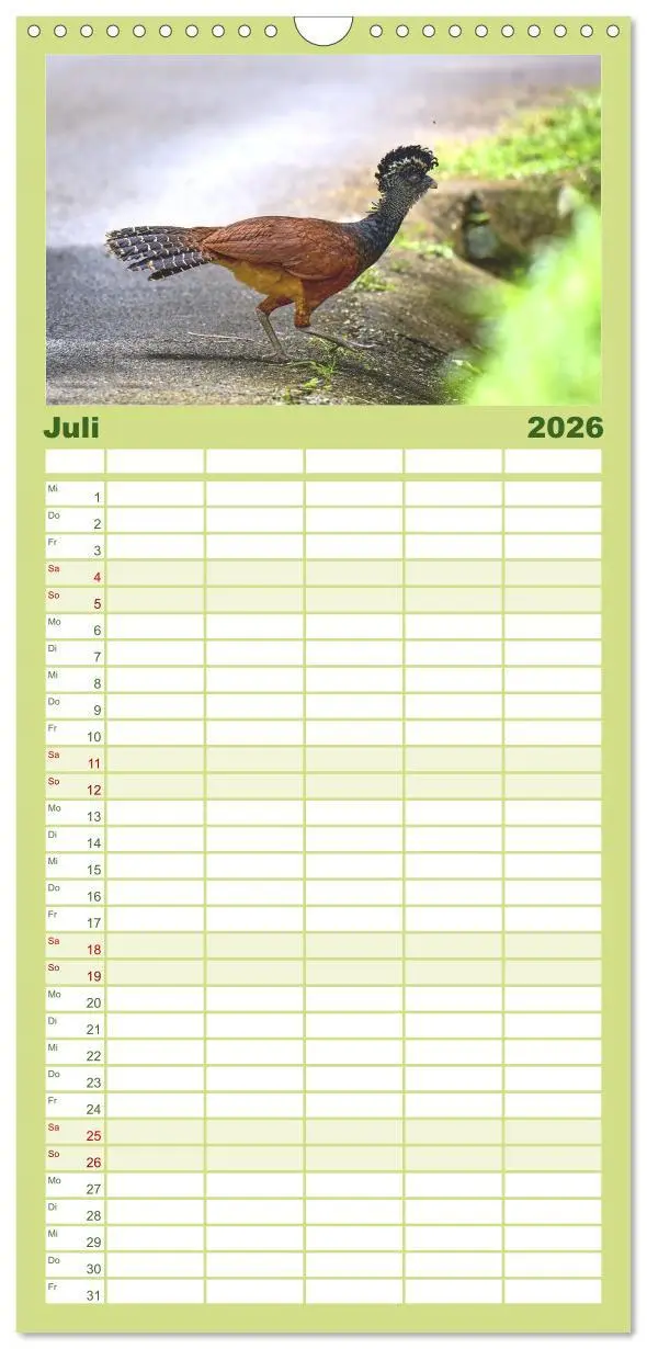 Bild: 9783516649062 | Familienplaner 2026 - Costa Ricas gefiederte Pracht mit 5 Spalten...
