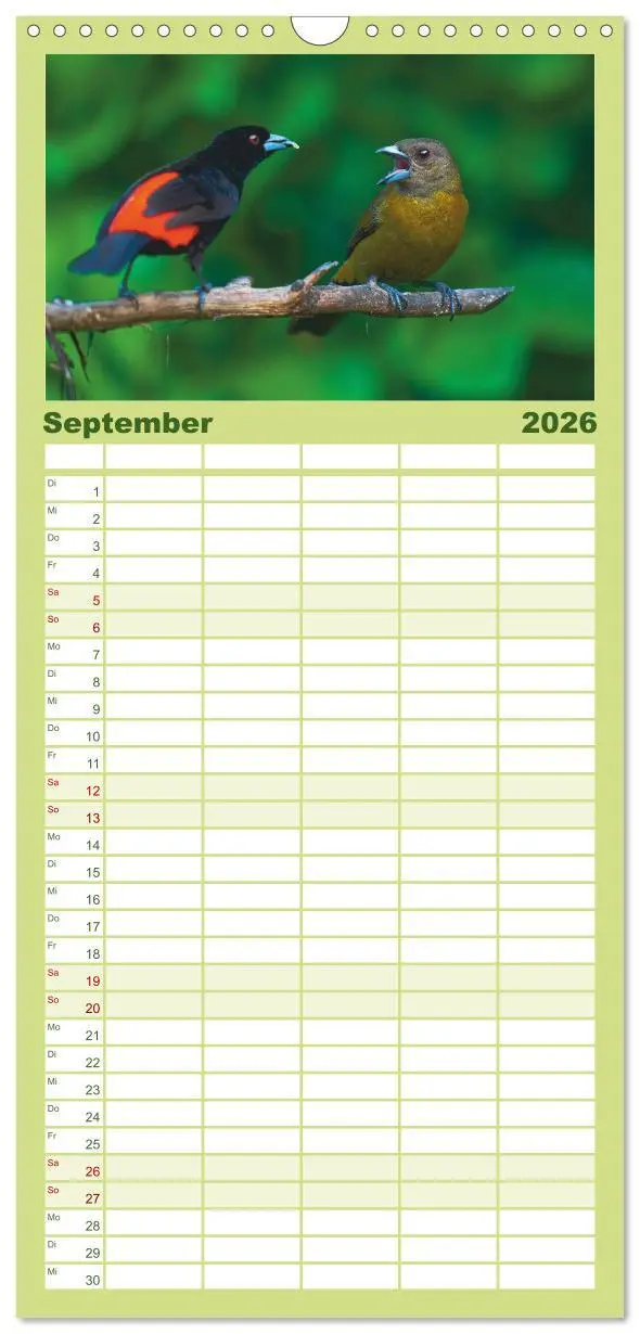 Bild: 9783516649062 | Familienplaner 2026 - Costa Ricas gefiederte Pracht mit 5 Spalten...