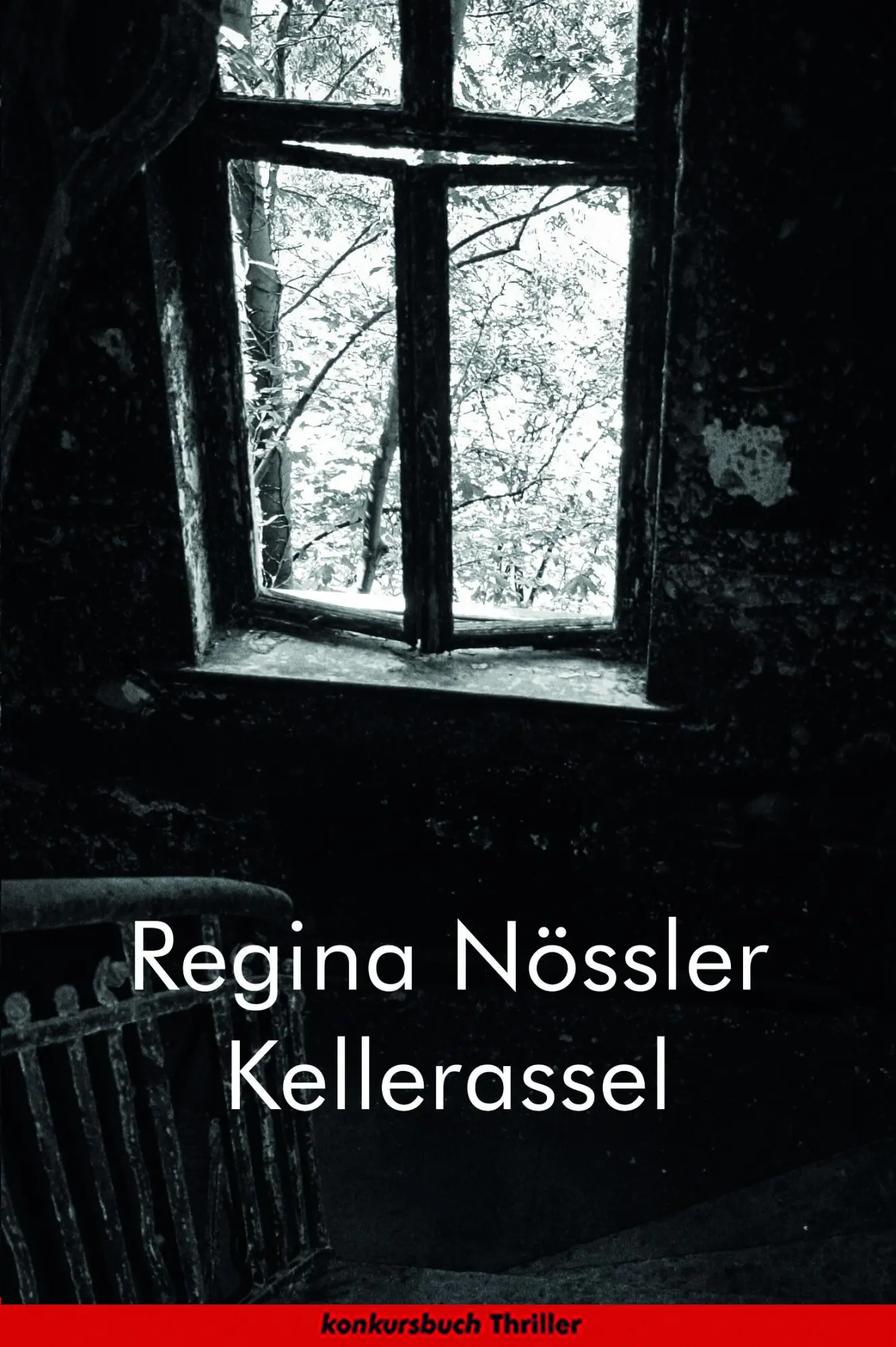 Cover: 9783887699062 | Kellerassel | Thriller | Regina Nössler | Taschenbuch | 340 S. | 2023