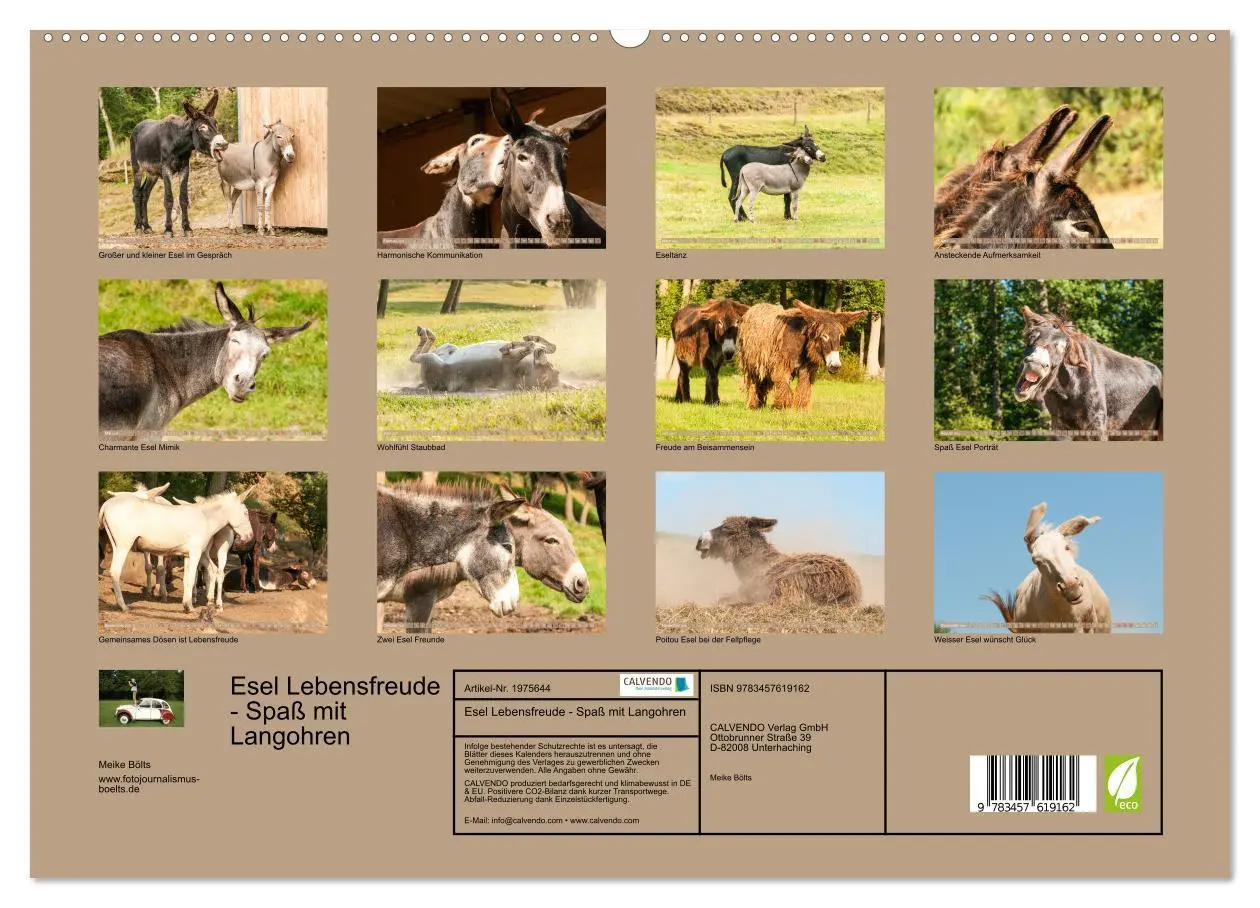 Bild: 9783457619162 | Esel Lebensfreude - Spaß mit Langohren (Wandkalender 2026 DIN A2...