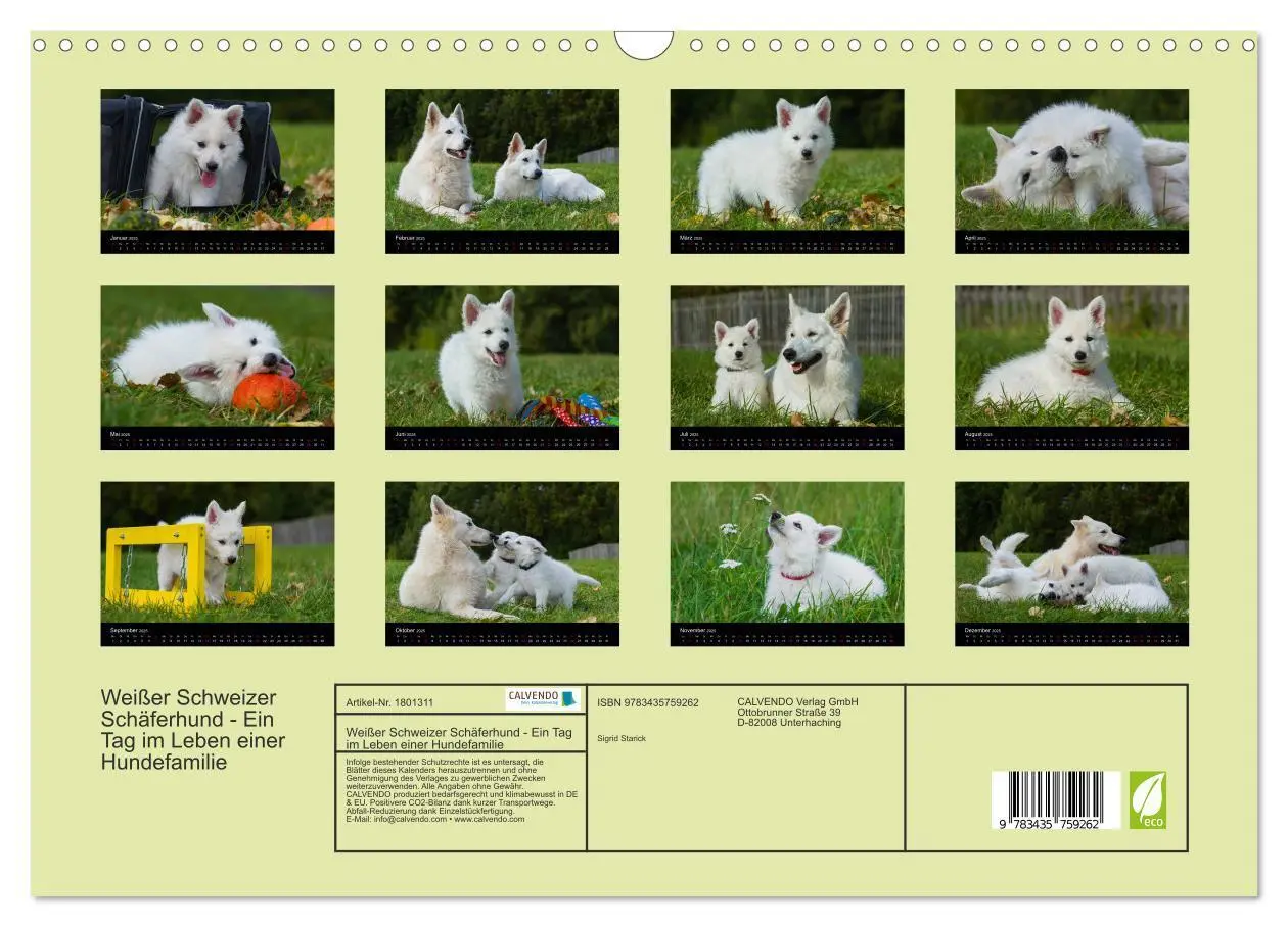 Bild: 9783435759262 | Weißer Schweizer Schäferhund - Ein Tag im Leben einer Hundefamilie...