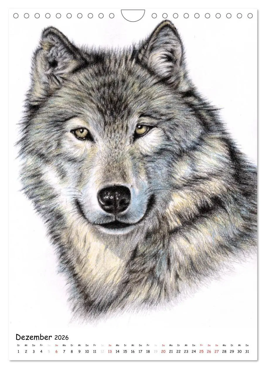 Bild: 9783516479362 | Wildlife Portraits (Wandkalender 2026 DIN A4 hoch), CALVENDO...