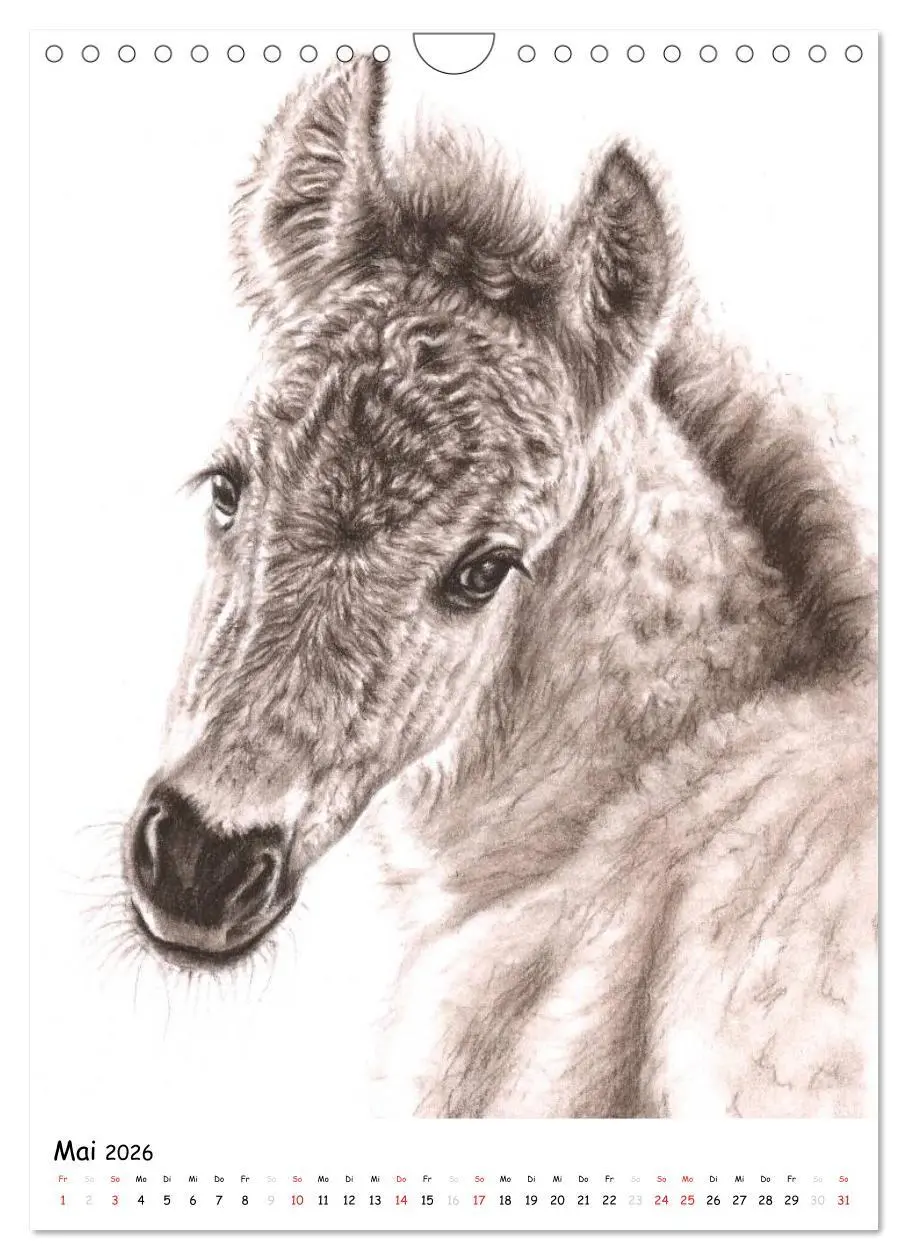 Bild: 9783516479362 | Wildlife Portraits (Wandkalender 2026 DIN A4 hoch), CALVENDO...