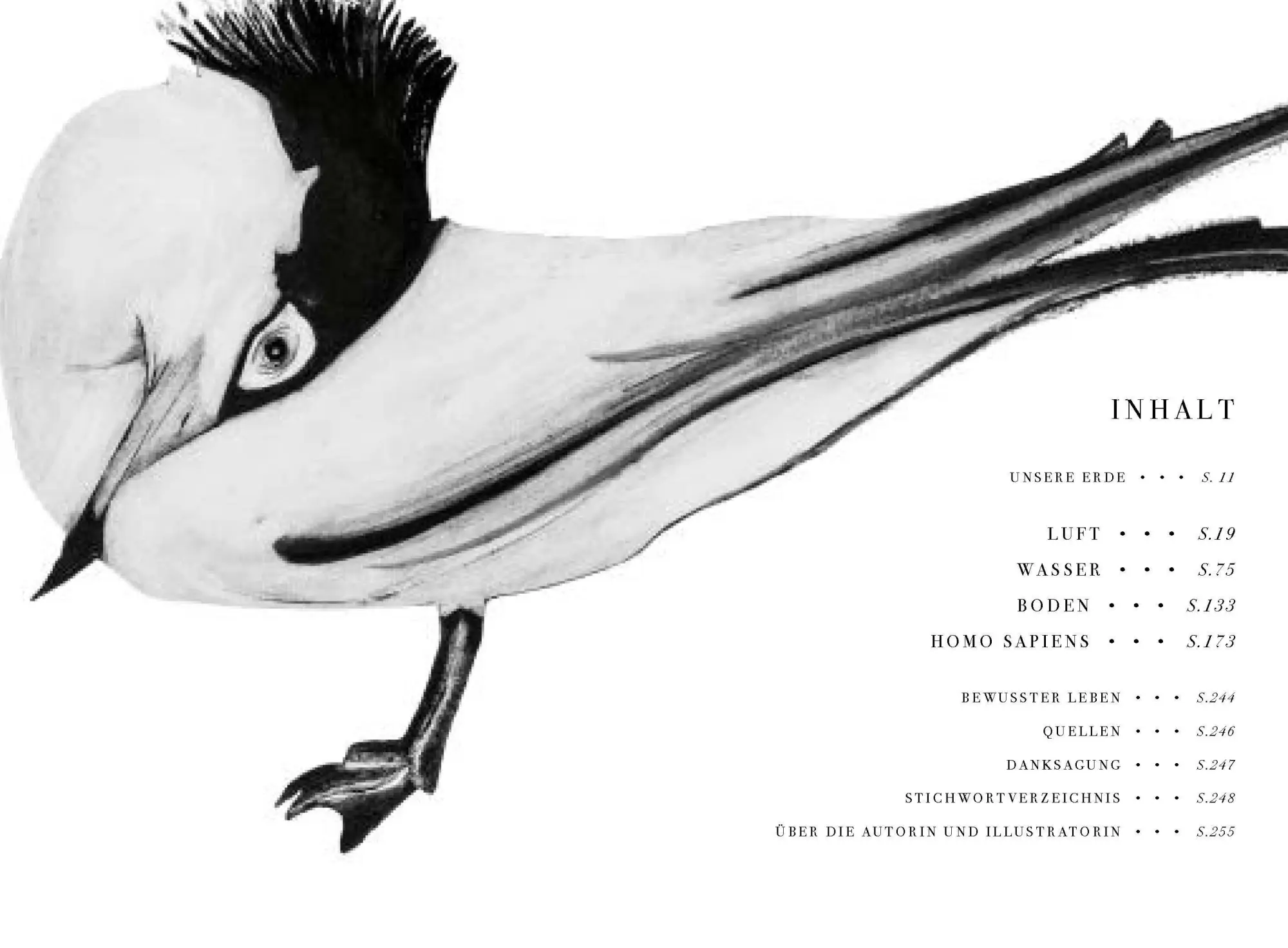 Bild: 9783791389462 | Wunder der Natur | Beatrice Forshall | Buch | 256 S. | Deutsch | 2023