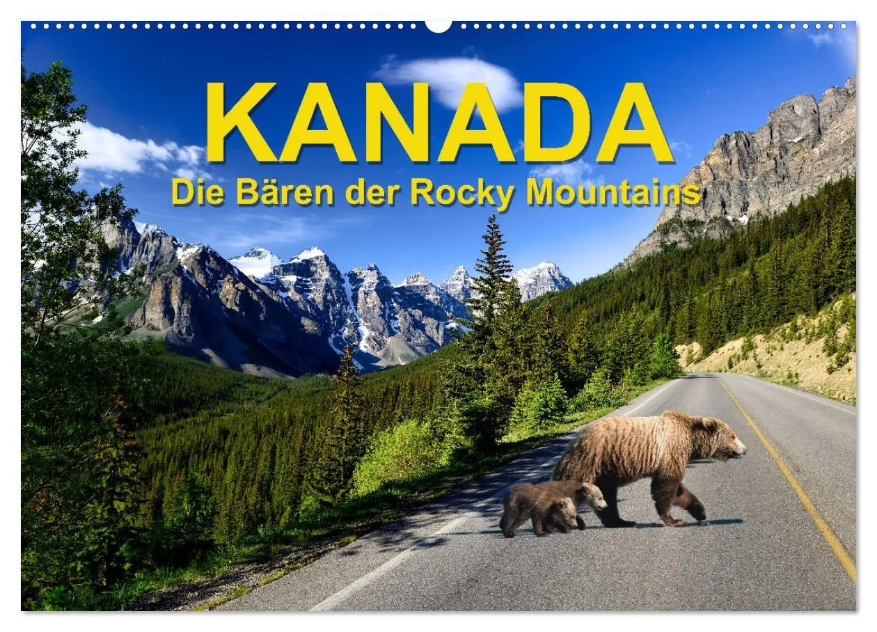 Cover: 9783457509562 | KANADA - Die Bären der Rocky Mountains (Wandkalender 2026 DIN A2...
