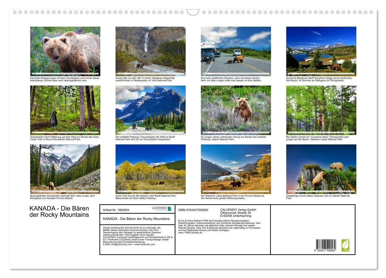 Bild: 9783457509562 | KANADA - Die Bären der Rocky Mountains (Wandkalender 2026 DIN A2...