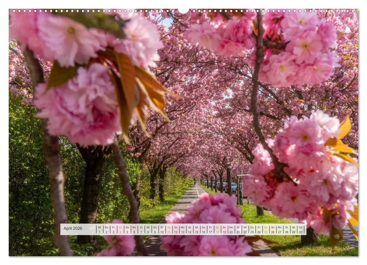 Bild: 9783457679562 | Schönes Magdeburg (hochwertiger Premium Wandkalender 2026 DIN A2...