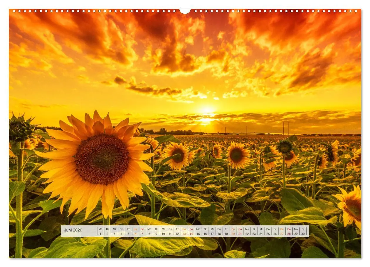 Bild: 9783457679562 | Schönes Magdeburg (hochwertiger Premium Wandkalender 2026 DIN A2...