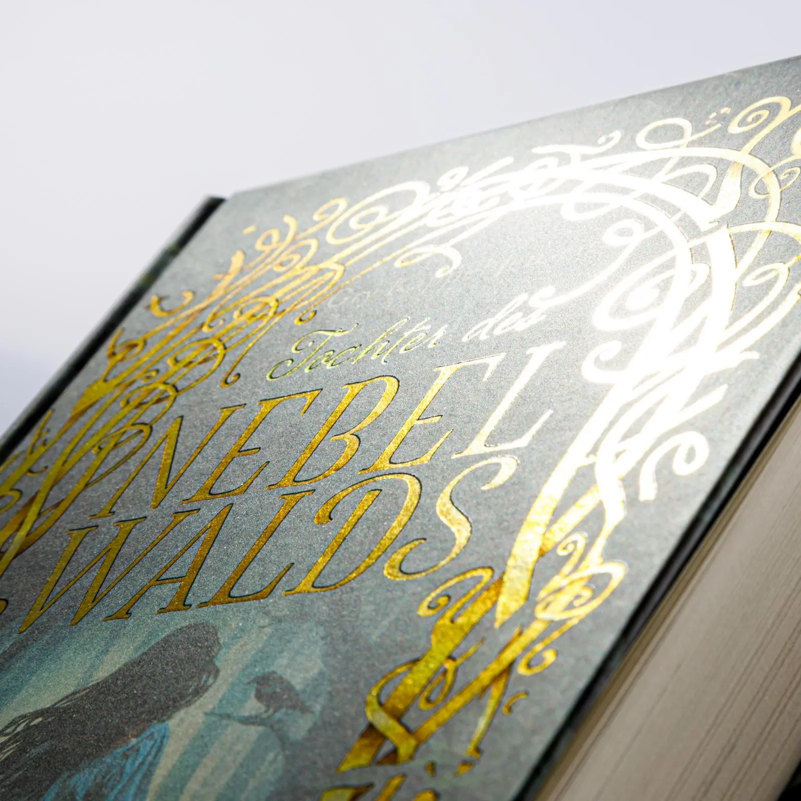 Bild: 9783551559562 | Eventyr-Saga 1: Tochter des Nebelwalds | Gry Kappel Jensen | Buch