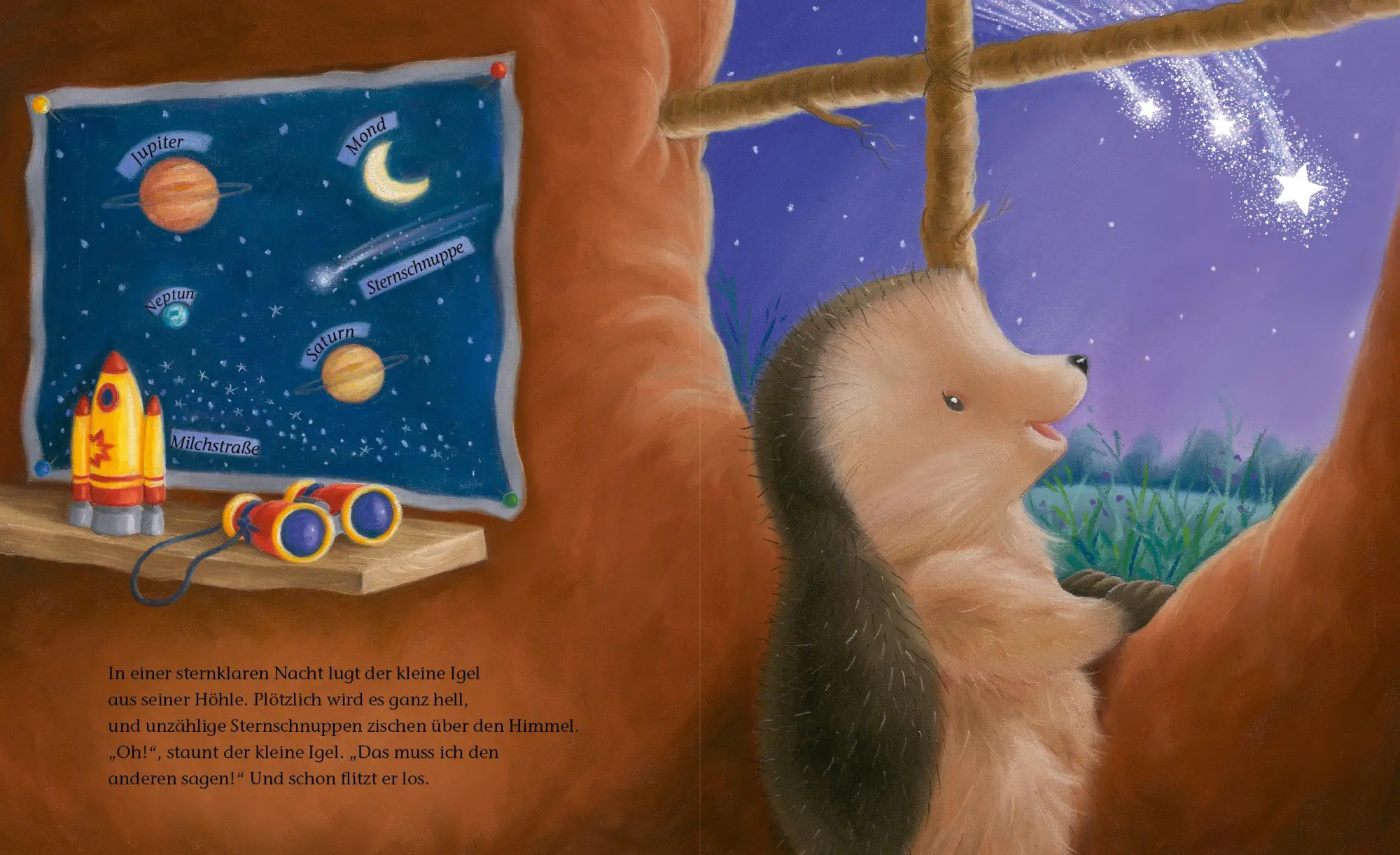 Bild: 9783765569562 | Der kleine Igel und die Sternschnuppen | M Christina Butler | Buch
