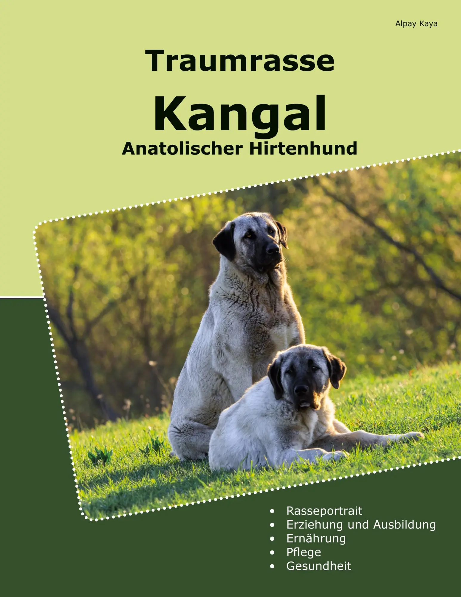 Cover: 9783769389562 | Traumrasse Kangal | Anatolischer Hirtenhund | Alpay Kaya | Taschenbuch