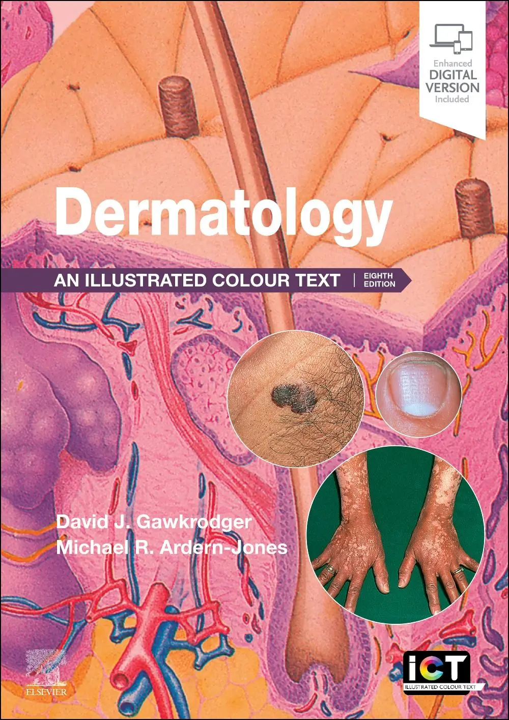 Cover: 9780443249662 | Dermatology | An Illustrated Colour Text | David Gawkrodger (u. a.)