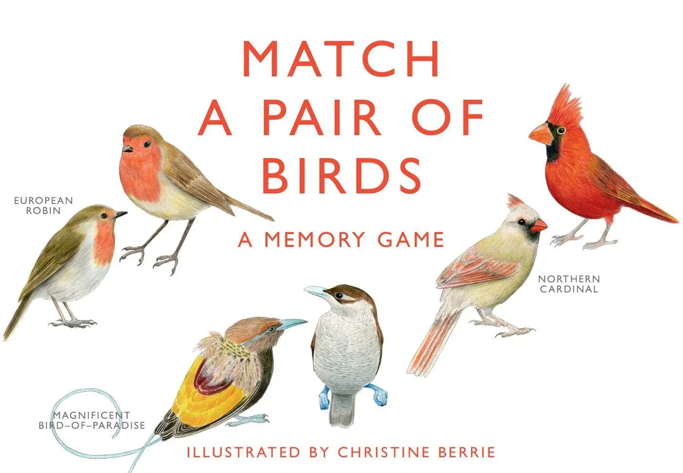 Cover: 9781856699662 | Match a Pair of Birds | A Memory Game | Christine Berrie (u. a.) | Box
