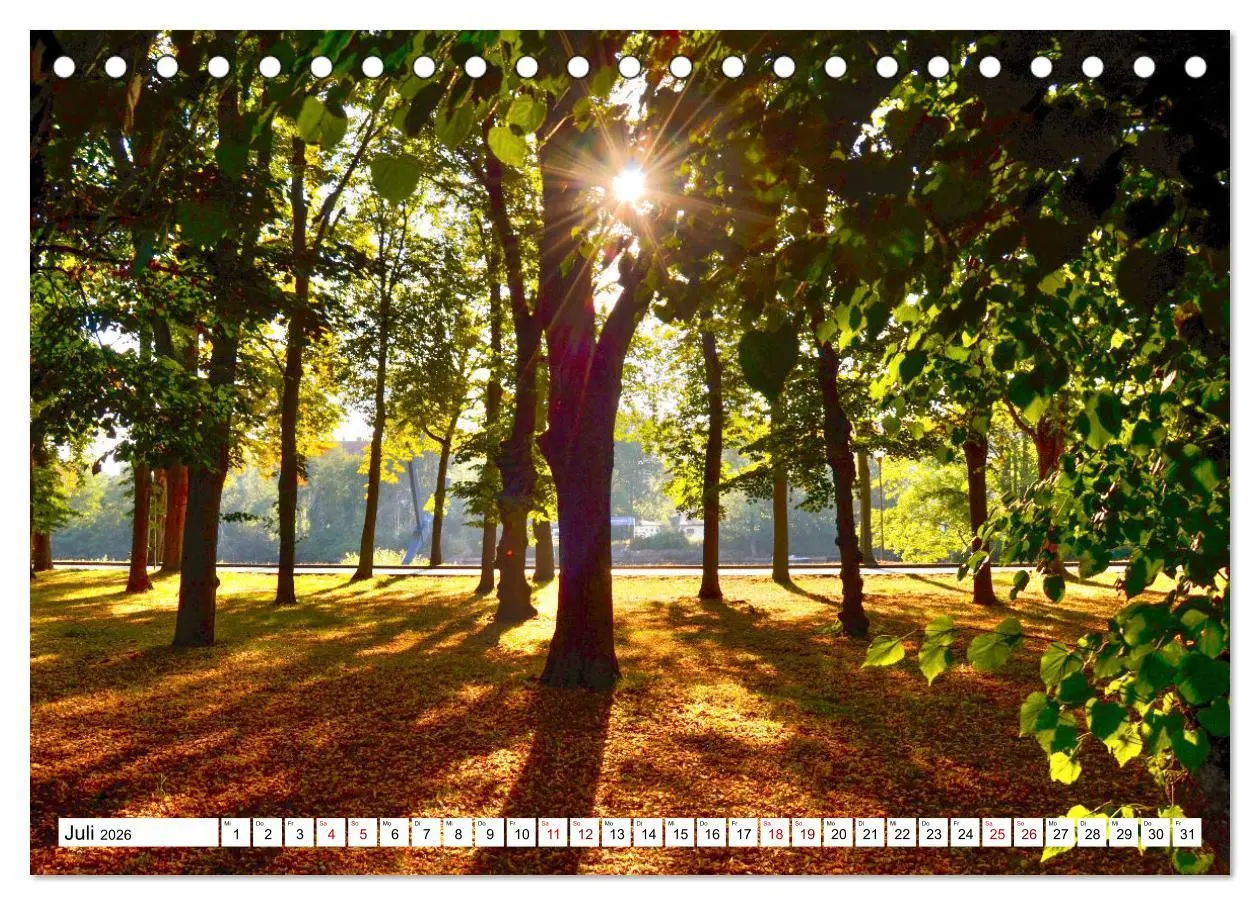 Bild: 9783457599662 | Kassel begeistert (Tischkalender 2026 DIN A5 quer), CALVENDO...
